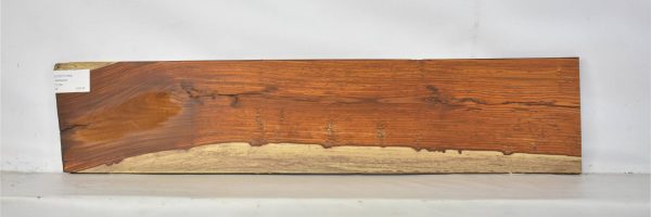 COCO1363_2