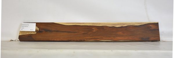 COCO1370_1
