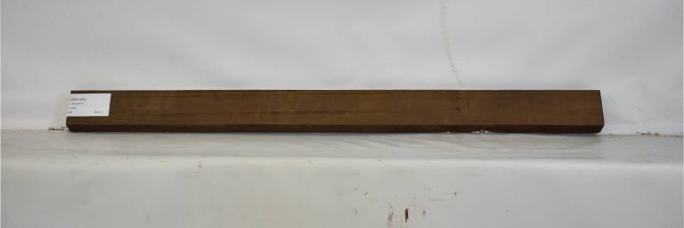 IMB1064_1