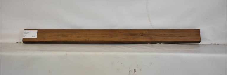 IMB1068_1