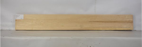 MAPH1155_1