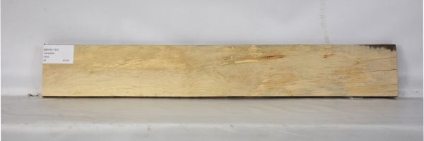 MAPH1157_1