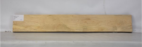 MAPH1157_2