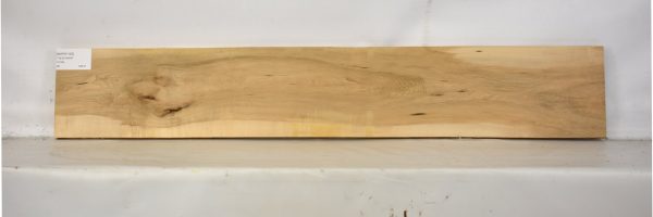 MAPH1163_2