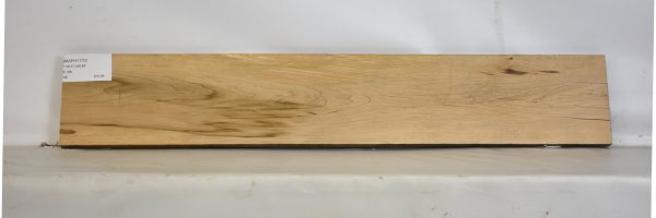 MAPH1170_2