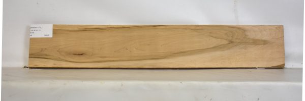 MAPH1171_2