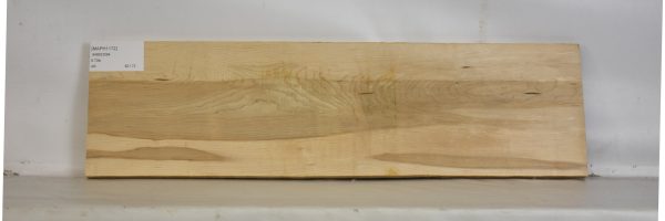 MAPH1172_1