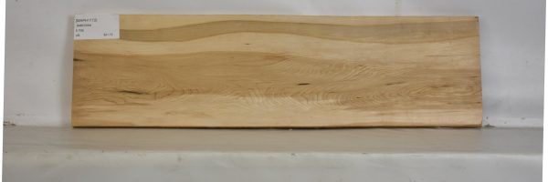 MAPH1172_2