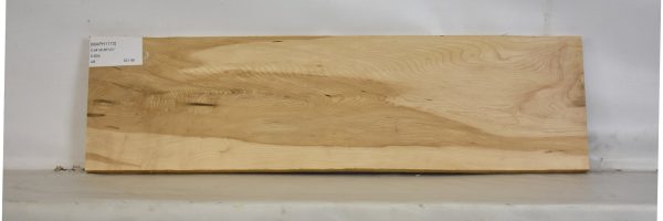 MAPH1173_1