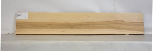 MAPH1181_2