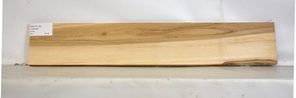 MAPH1182_2