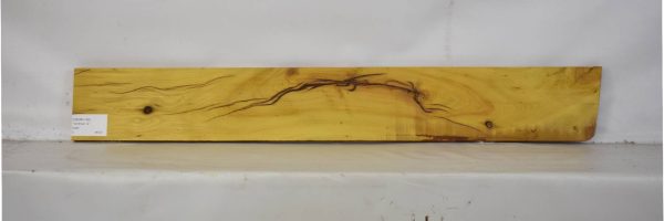 OSOR1130_1
