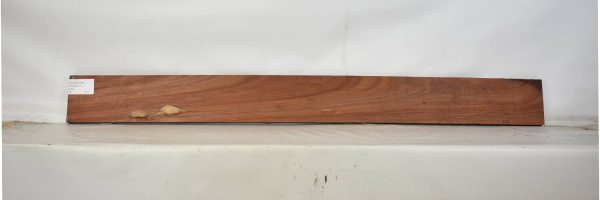 PADAUK1576_2
