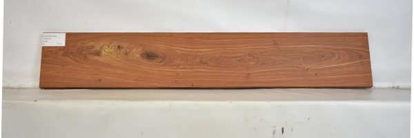 PAUFER1168_2
