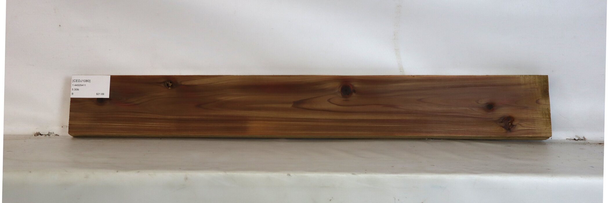 Cedar - Japanese 2 CEDJ1080_2