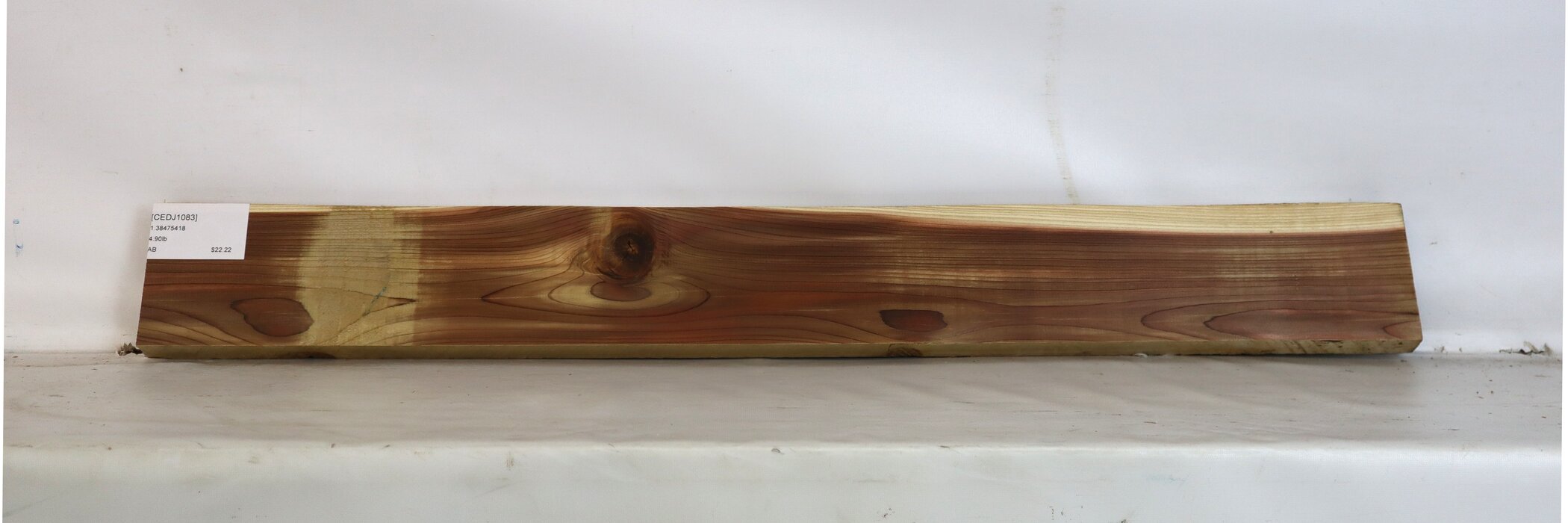 Cedar - Japanese 2 CEDJ1083_2