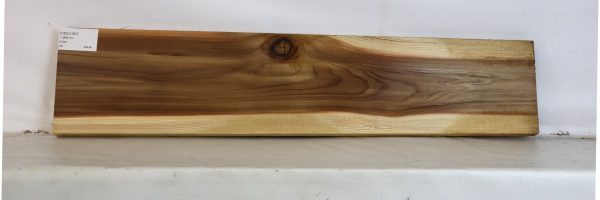 CEDJ1087_1