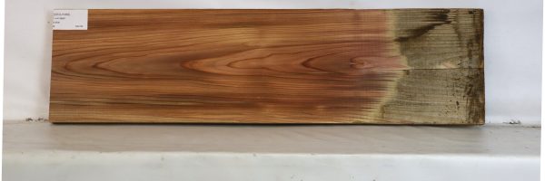CEDJ1089_1