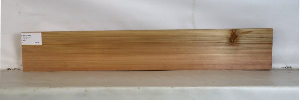 CEDJ1090_1
