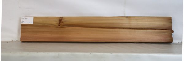 CEDJ1092_1