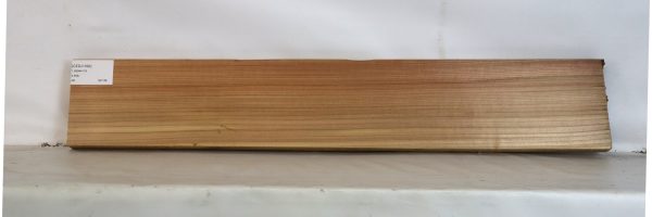 CEDJ1092_2