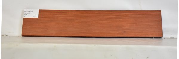 PADAUK1594_2