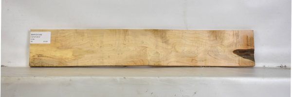 MAPCS1339_2