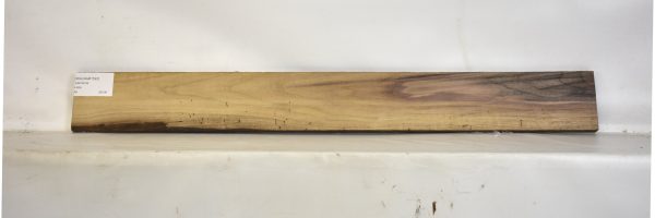 WALNAM1593_1