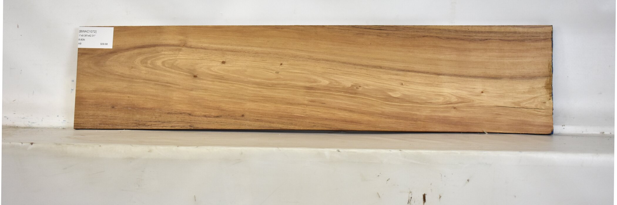 Blackwood - Acacia 2 BWAC1072_2