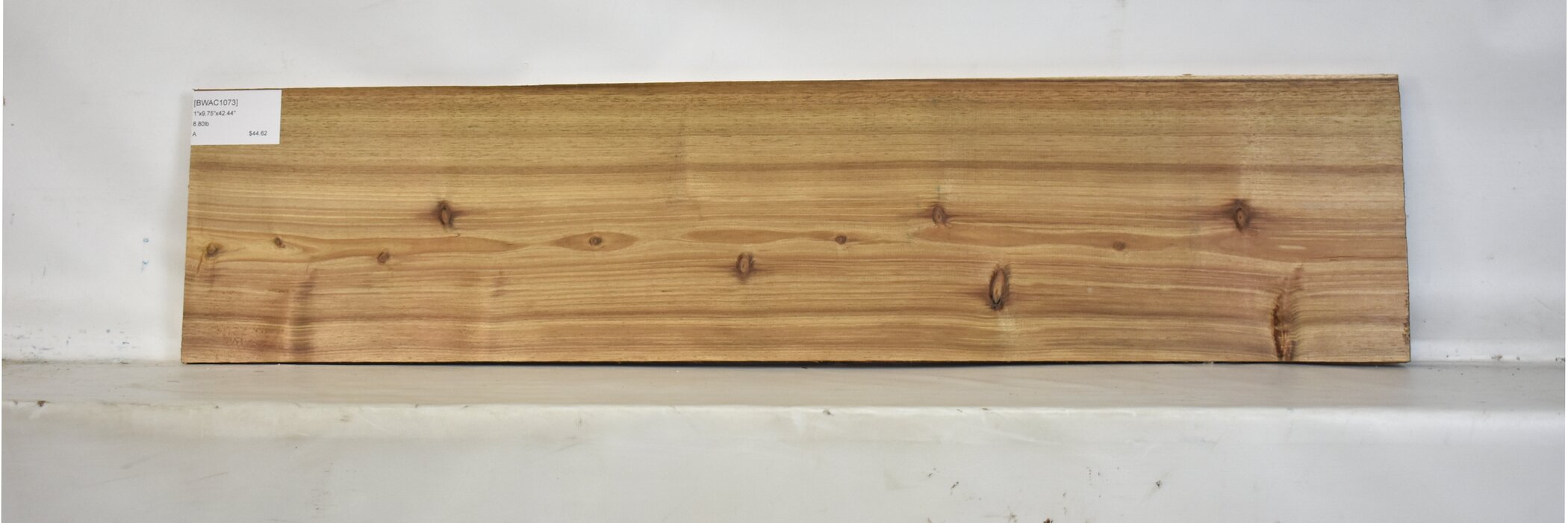 Blackwood - Acacia 2 BWAC1073_2