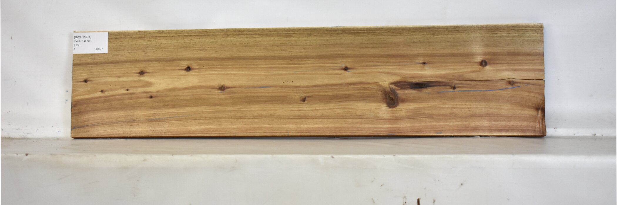 Blackwood - Acacia 2 BWAC1074_2