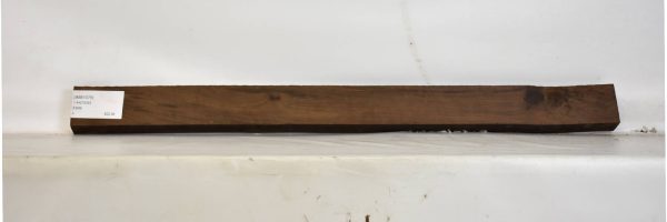IMB1075_2