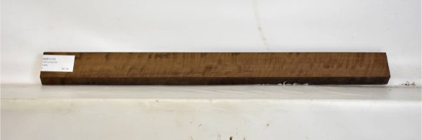 IMB1078_1