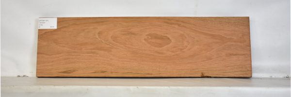 JATOB1137_2