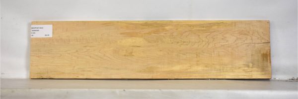 MAPCS1353_2
