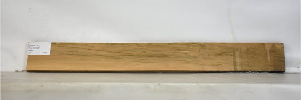 MAPH1187_1