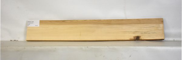 MAPH1190_2