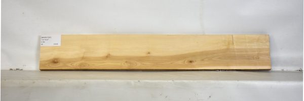 MAPH1191_2