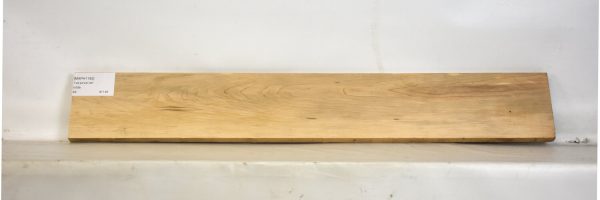MAPH1193_2