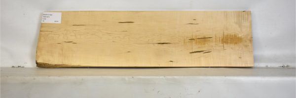 MAPH1195_1