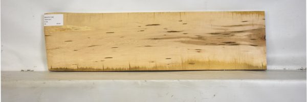 MAPH1195_2