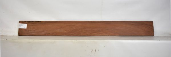 PAUFER1181_2