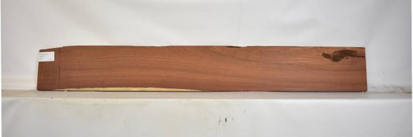 PAUFER1183_2