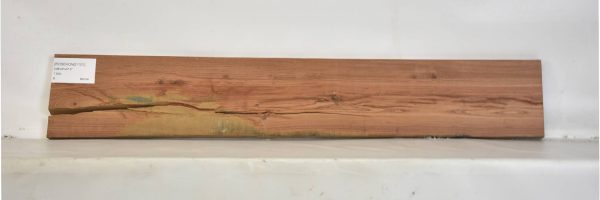ROSEHOND1101_2