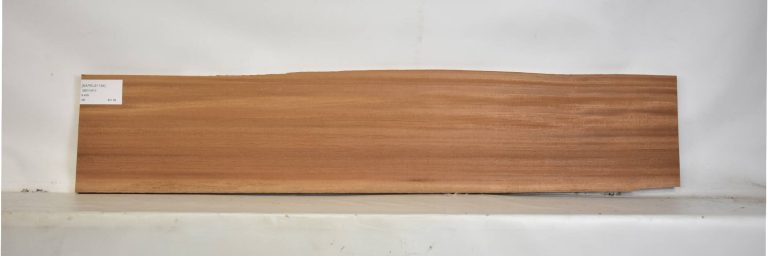 SAPELE1154_1