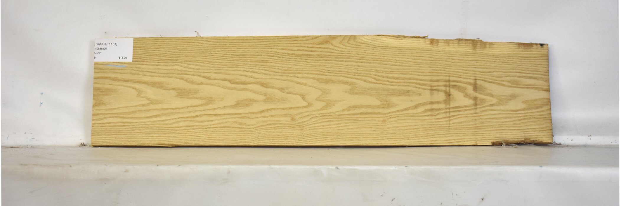 Sassafras 2 SASSAF1151_2