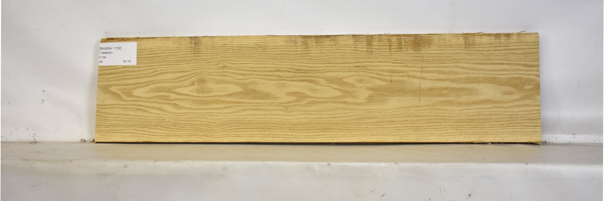 Sassafras 2 SASSAF1152_2