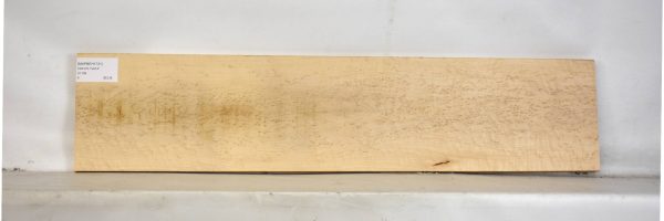 MAPBEH1731_2