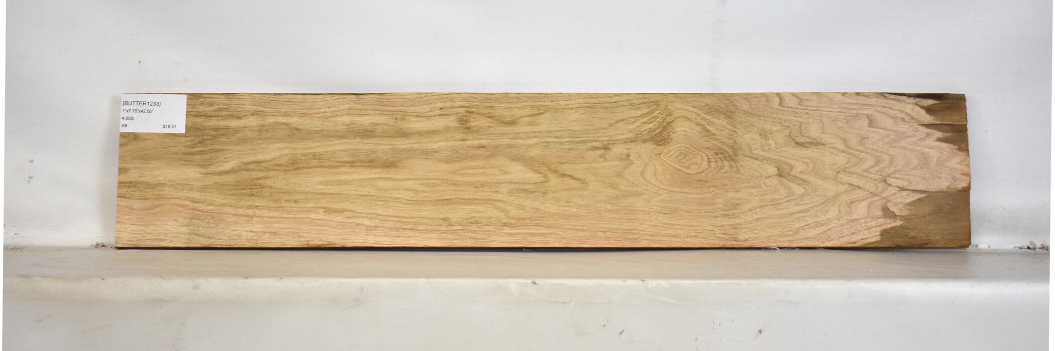 Butternut 2 BUTTER1233_2