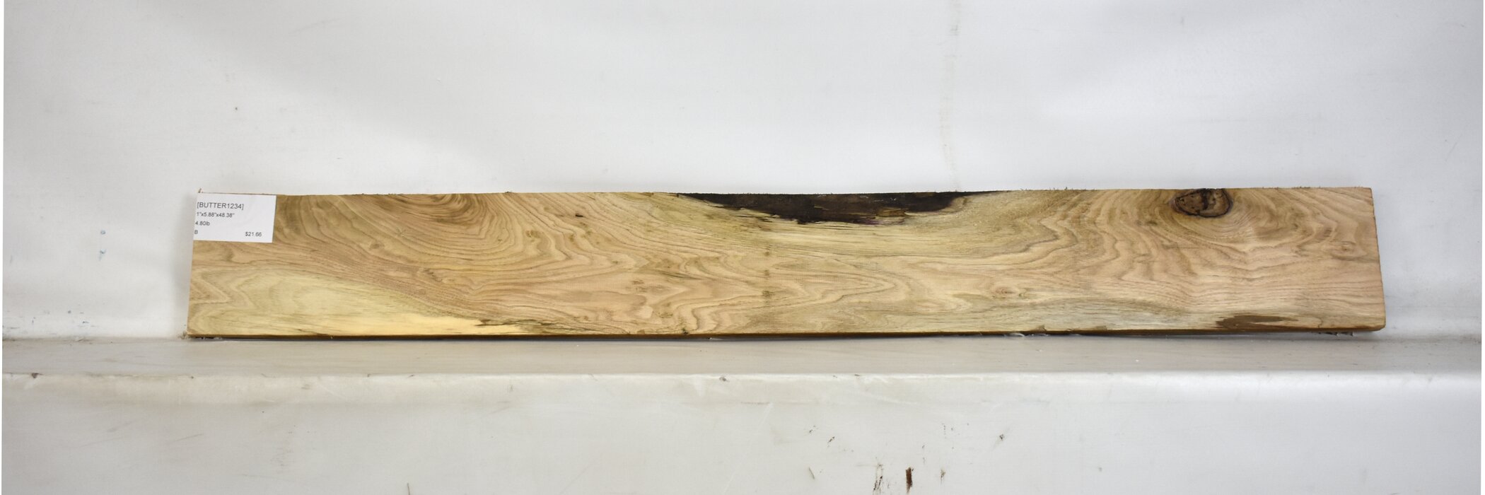 Butternut 2 BUTTER1234_2